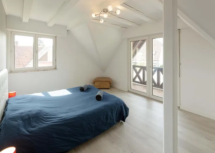 Centre Alsace Vakantiehuis Sélestat